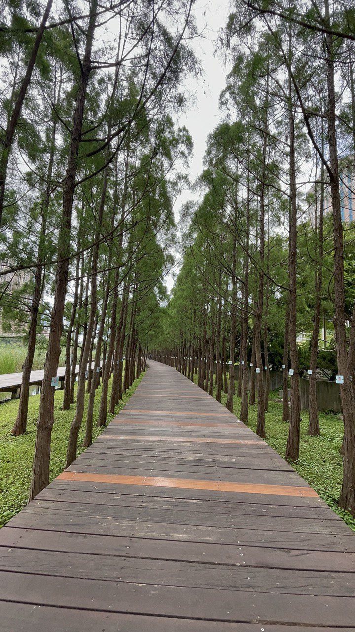 Soothing Nature - Macao